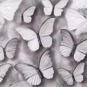 FAIRY DUST CLOUDY